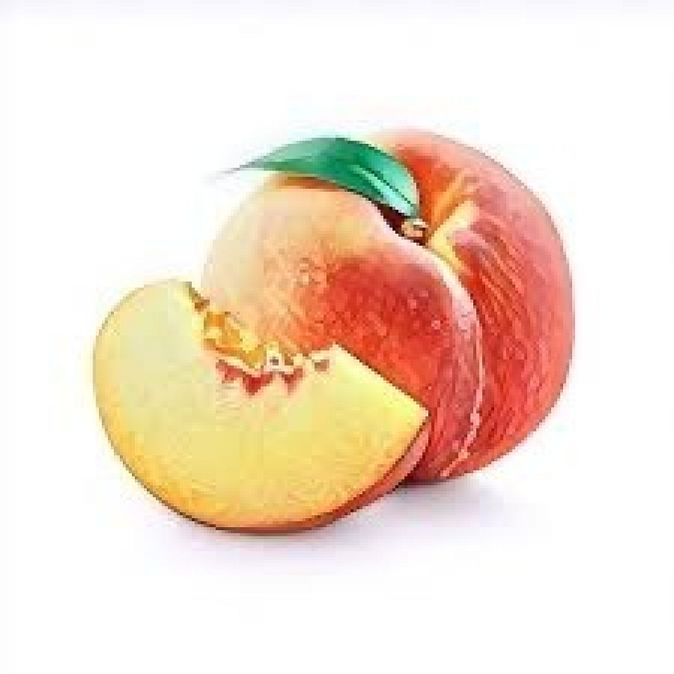 Pêche