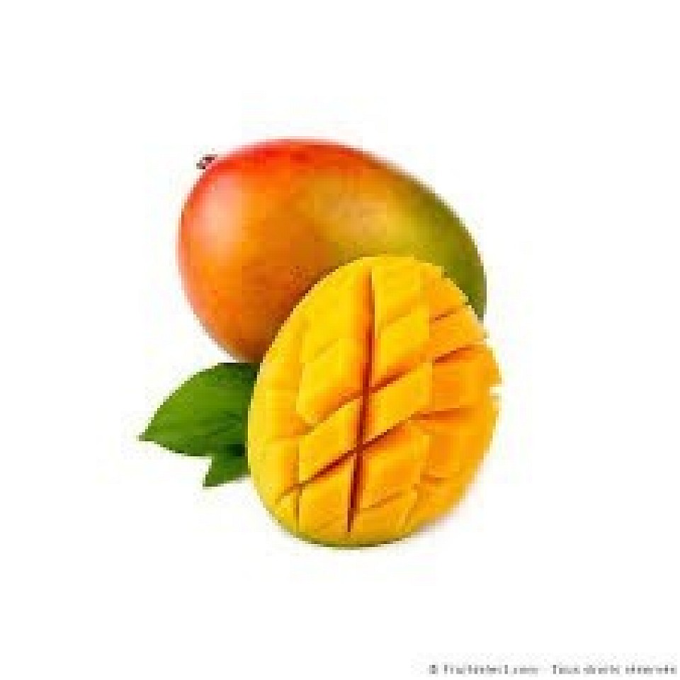 Mangue