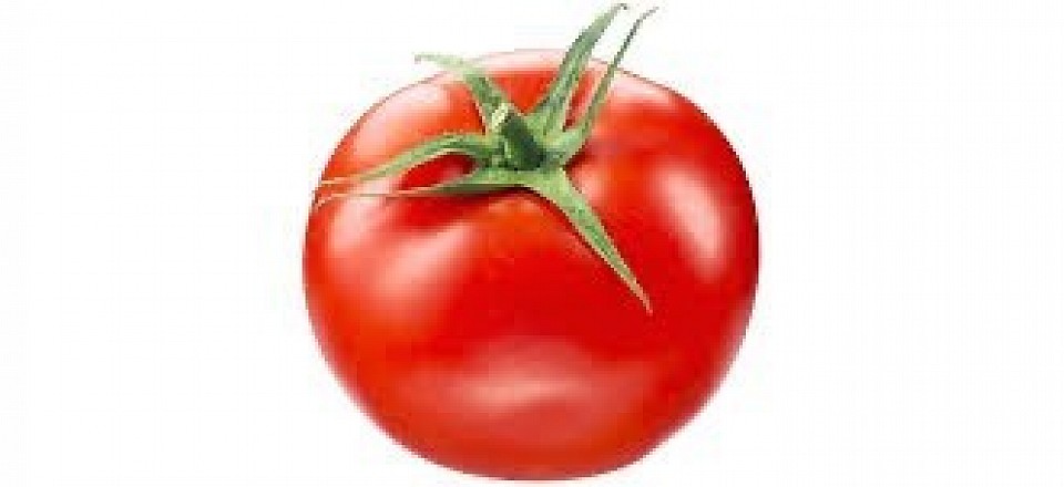 Tomates