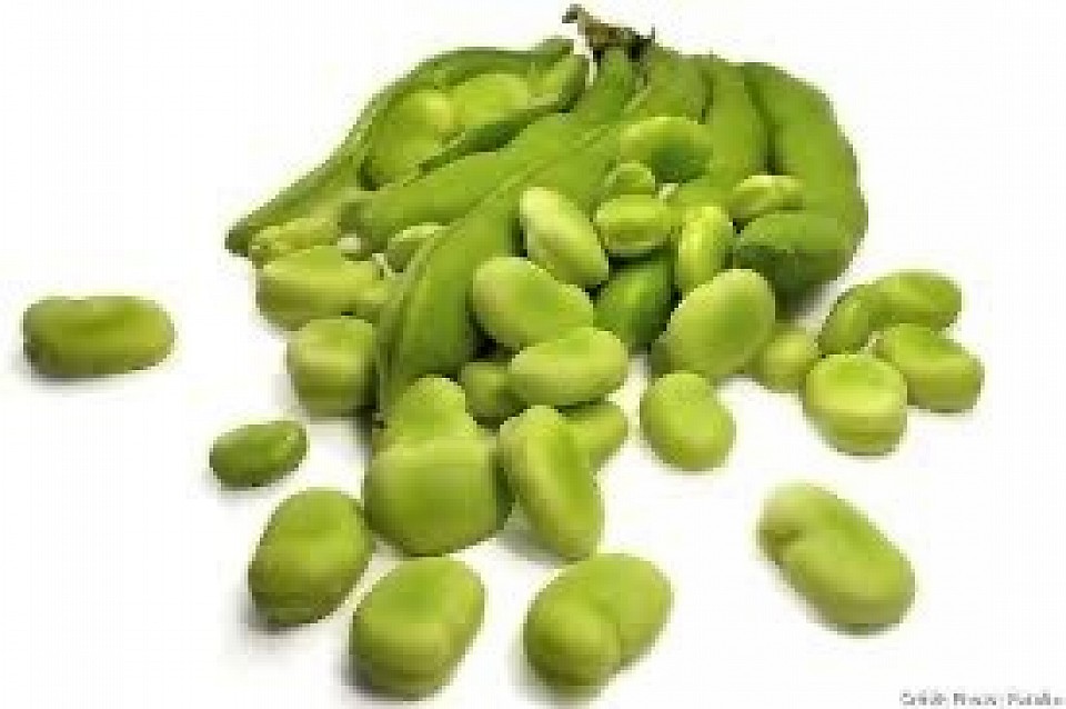 Fèves