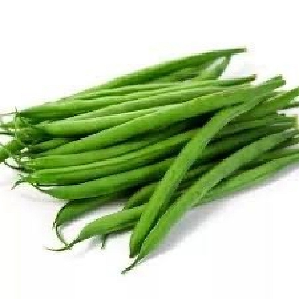 Haricots verts