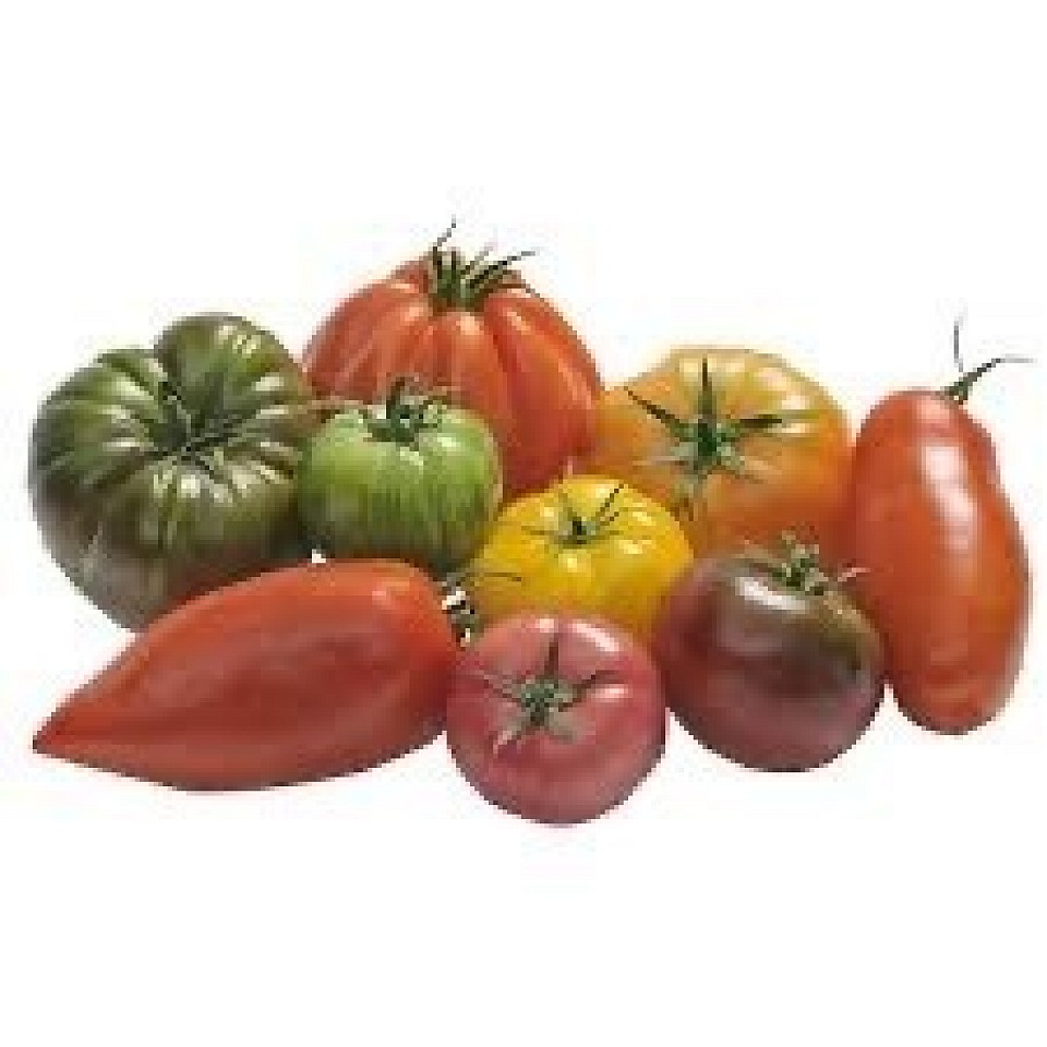 Tomates