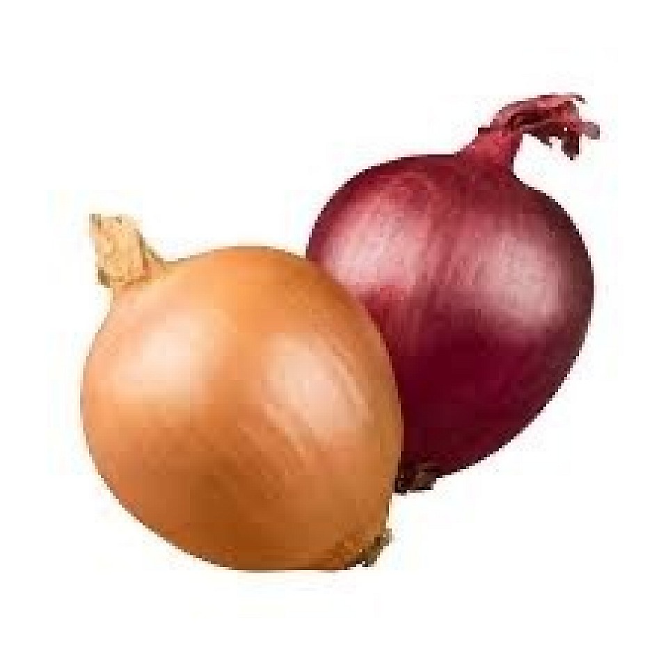 Oignons