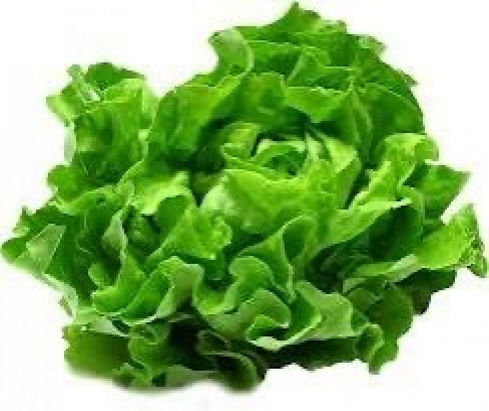 Salade