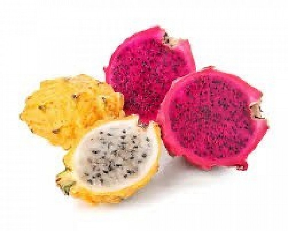 Fruit du dragon